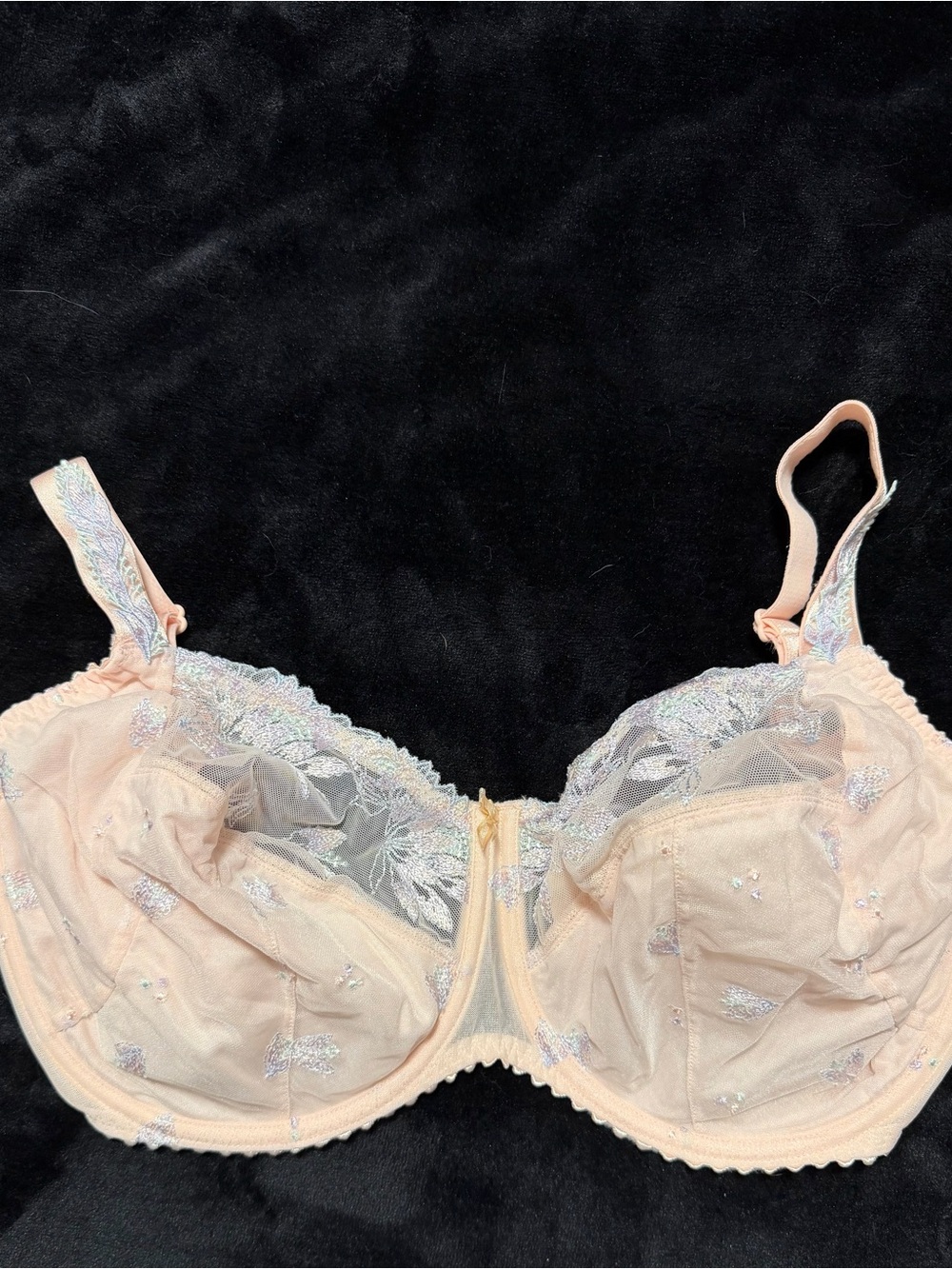 Sheer Embroidered Underwire Bra - Peach